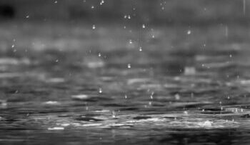 Rain drops